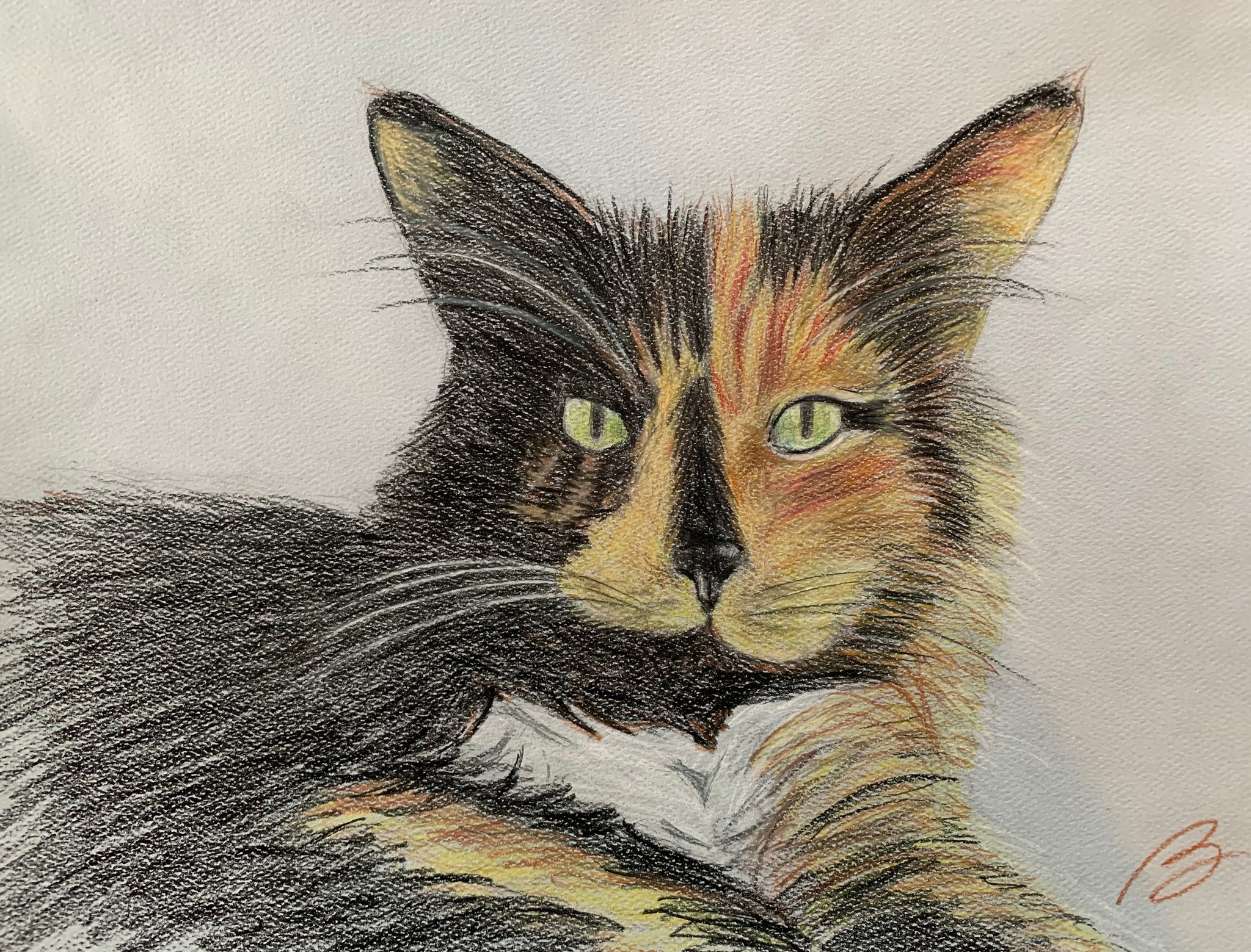 Realistic Animal Pencil Drawings | Color pencil art, Pencil drawings of  animals, Prismacolor art